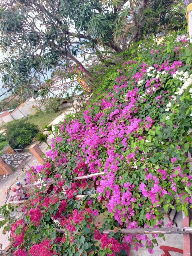 Confetti House 호텔 퀴논 외부 사진